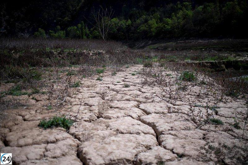 La reserva de agua de los embalses catalanes disminuye al 16,73%