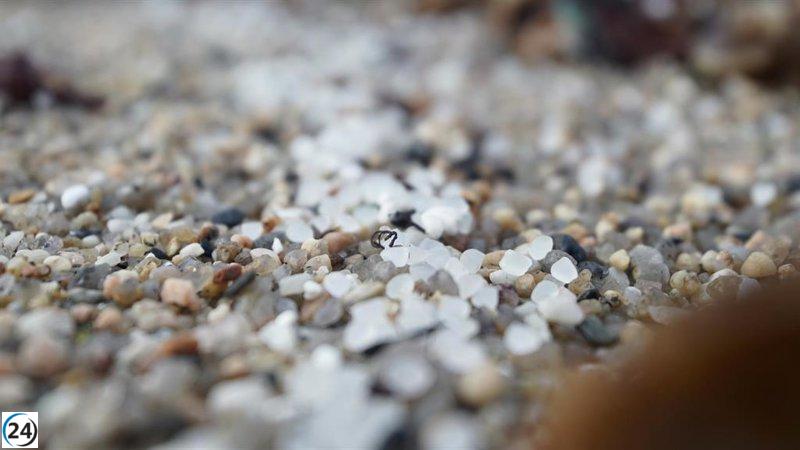 La Generalitat de Cataluña examina a 13 empresas en Tarragona por contaminación con pellets