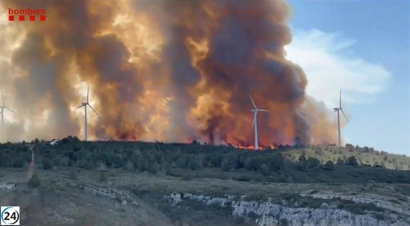 El fuego en el Coll de l'Alba de Tortosa arrasa 60 hectáreas.
