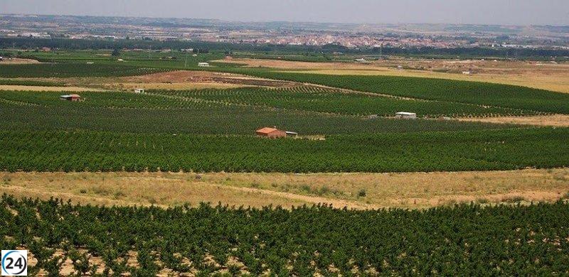 El Govern destina 13 millones en ayudas a regantes por la sequía de 2023.