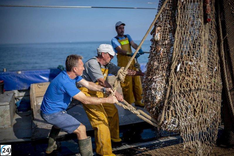 Pescadores catalanes limpian el mar con 67 toneladas de basura recogida en 2024.