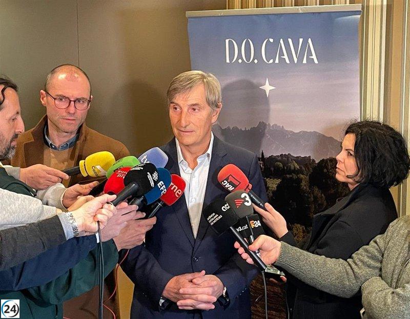 La DO Cava alcanza 2.270 millones en 2024, pero sus ventas caen un 13,4%.