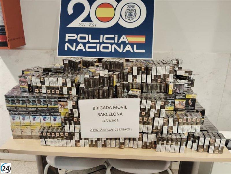 Descubren casi 1.500 cajetillas de tabaco ilegal en la Estació del Nord de Barcelona.