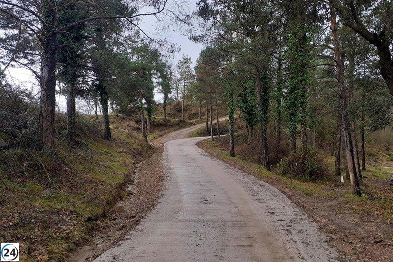 Barcelona destina 9 millones a mejoras para la prevención de incendios forestales.