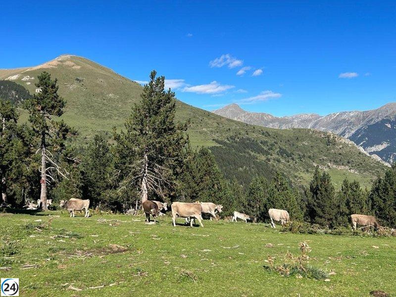 Descubren brotes de tuberculosis en tres granjas de Catalunya.
