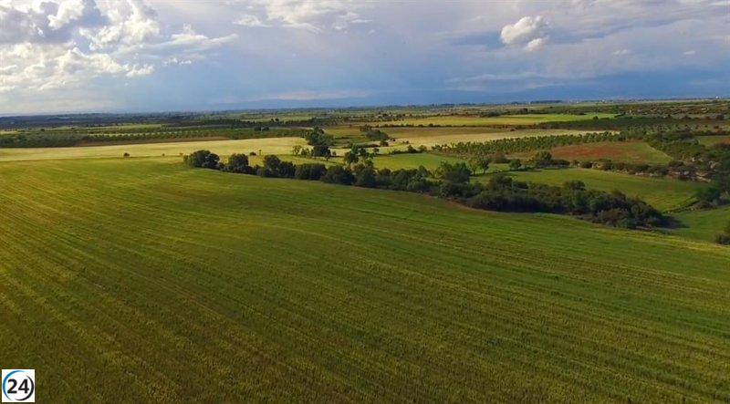 La Generalitat destina 16,5 millones en ayudas de la PAC 2024 a más de 33.700 beneficiarios.