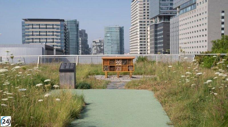 El Terrat Viu del Museu de Ciències Naturals de Barcelona vuelve a abrir sus puertas tras dos años de reformas.