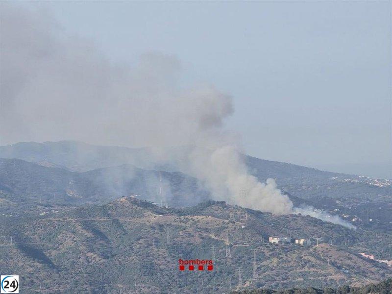 Las llamas en el bosque de Santa Coloma de Gramenet (Barcelona) son sofocadas durante la noche.