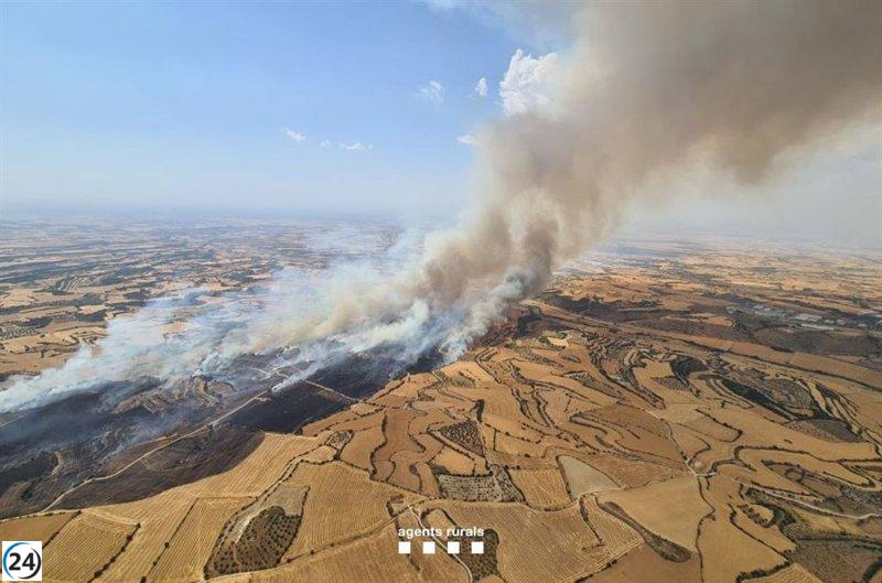 Cervera levanta restricciones tras controlar el incendio en Granyena de Segarra.