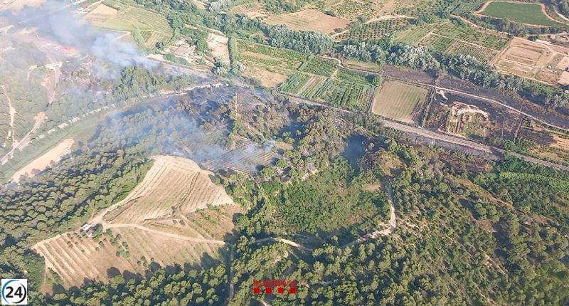 Apagan el fuego que arrasaba entre Martorell y Sant Esteve Sesrovires.