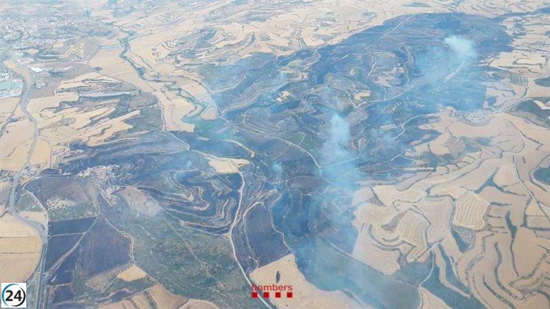 El incendio en Granyena de Segarra (Lleida) ha sido controlado tras afectar 473 hectáreas.