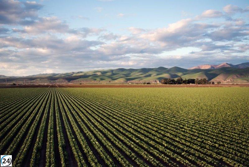 El Govern destina más de 15 millones a subsidios para la agricultura ecológica en 2024.