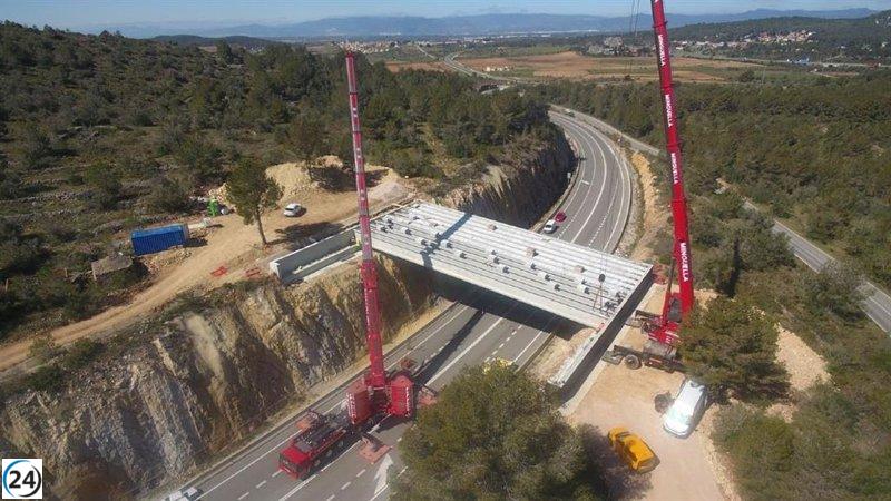La Generalitat habilita un paso para la fauna en la C-51 de Rodonyà, Tarragona.