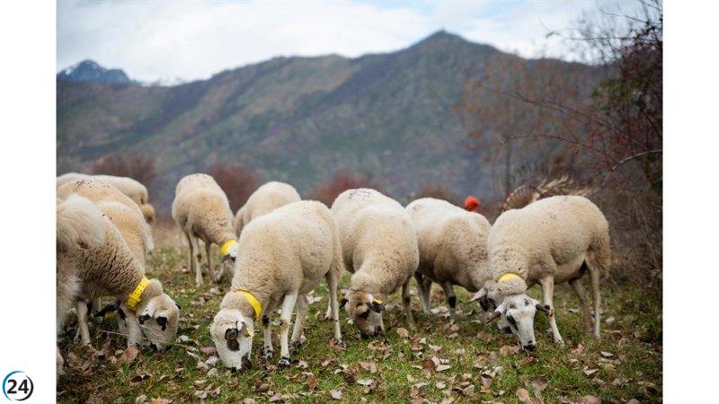 El Govern impulsa la agilización de procesos, la modernización del riego y la gestión de la fauna.