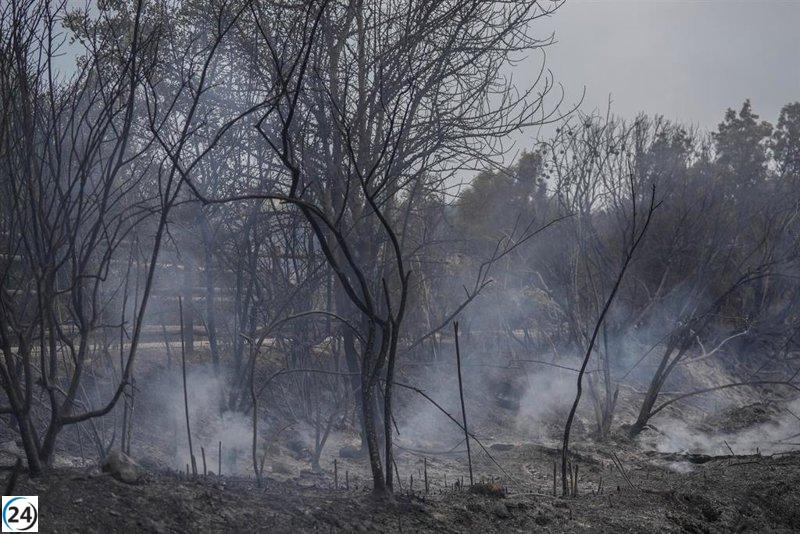 Cataluña levanta la alerta por incendios y reabre sus espacios naturales.