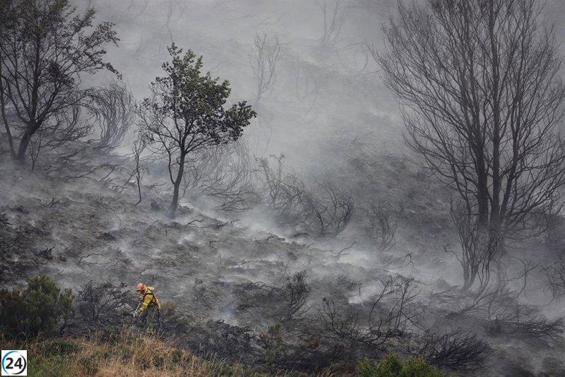 Sirera (PP) solicita destinar bomberos de Barcelona a combatir incendios en la Península.