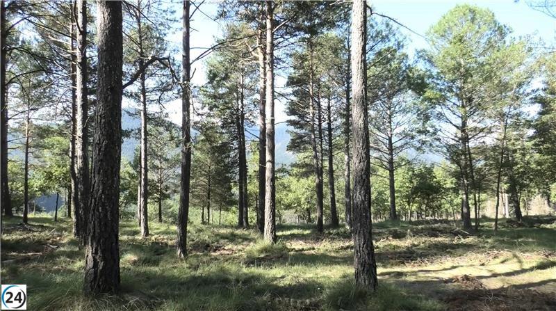 Eurecat impulsa iniciativa para convertir biomasa forestal en textiles ecológicos.