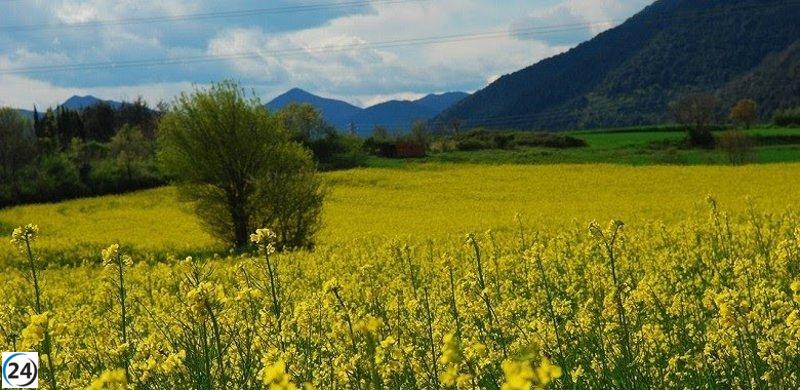 El Govern destina 252 millones en ayudas PAC para la campaña 2024.