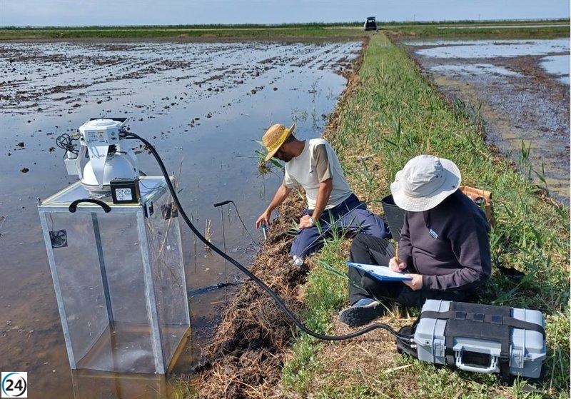 Eurecat promueve una bioeconomía rural impulsada por la innovación y la sostenibilidad.