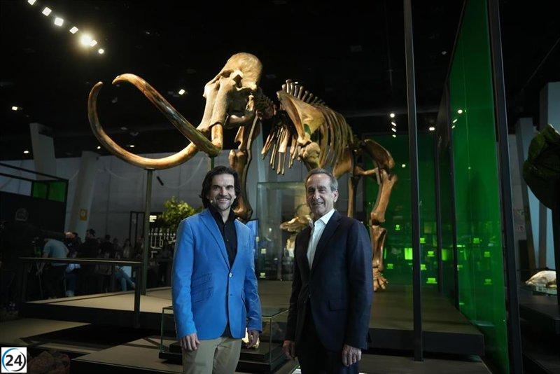 Barcelona presenta un esqueleto auténtico de mamut lanudo de hace 40.000 a 50.000 años en el CosmoCaixa.