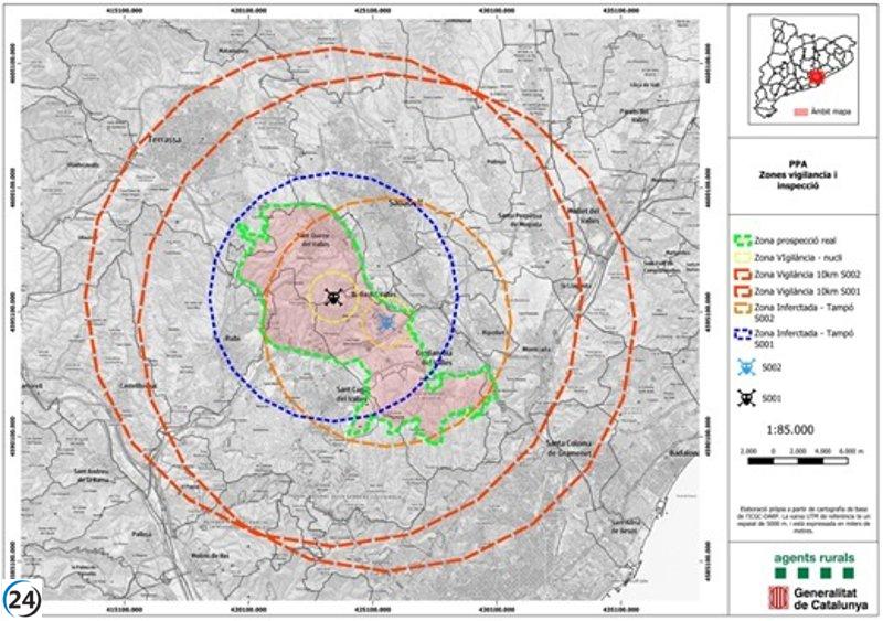 Confirman dos jabalíes fallecidos con peste porcina africana en Cerdanyola, Barcelona.
