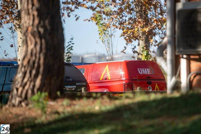 Cataluña reporta 9 casos de peste porcina africana en jabalíes.