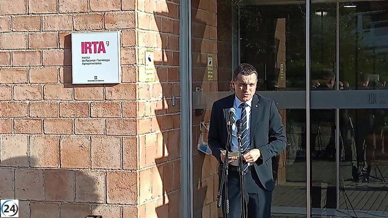 Japón abre las puertas a la carne de cerdo española producida antes de la PPA, según Ordeig.