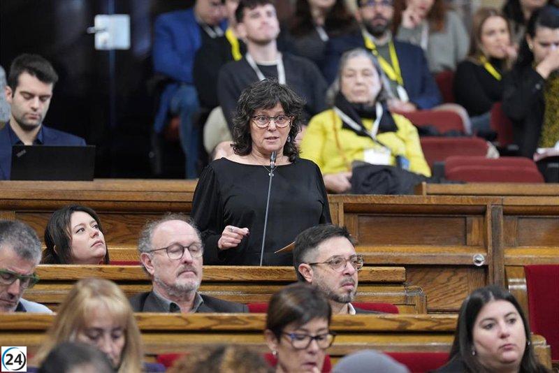 Castillejo (CUP) critica la falta de transparencia del Govern en el PPA y solicita un debate sobre el modelo productivo.