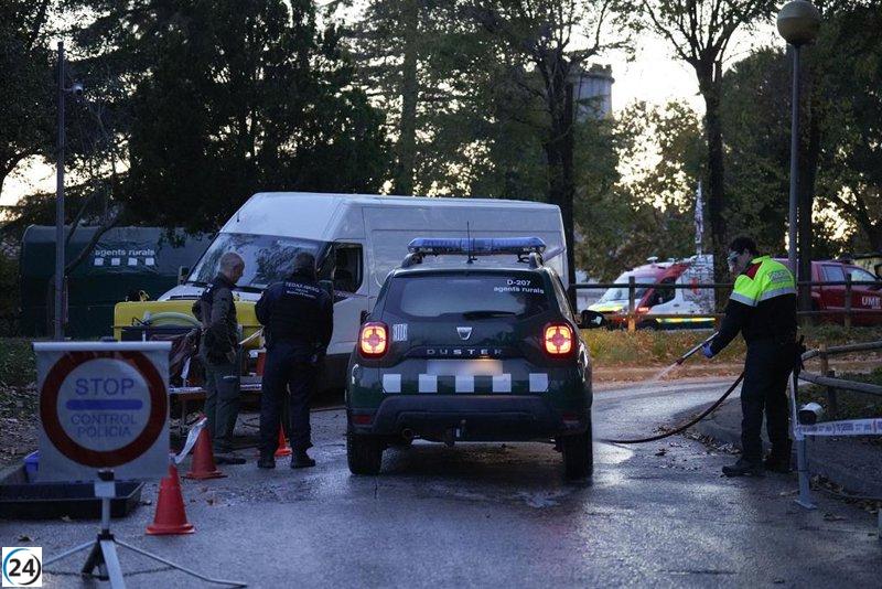 Detectan 13 nuevos casos de PPA en Collserola, Barcelona.