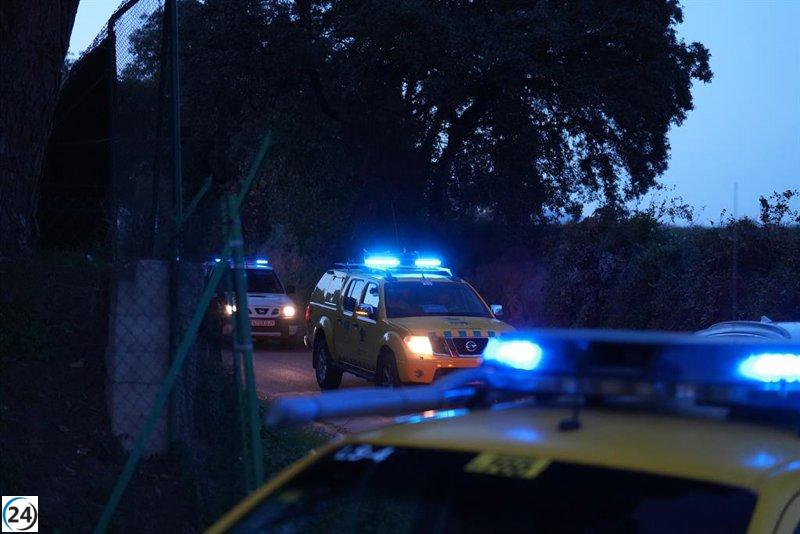 Surgen 13 nuevos contagios de peste porcina, con 2 casos lejos de Collserola en Barcelona.