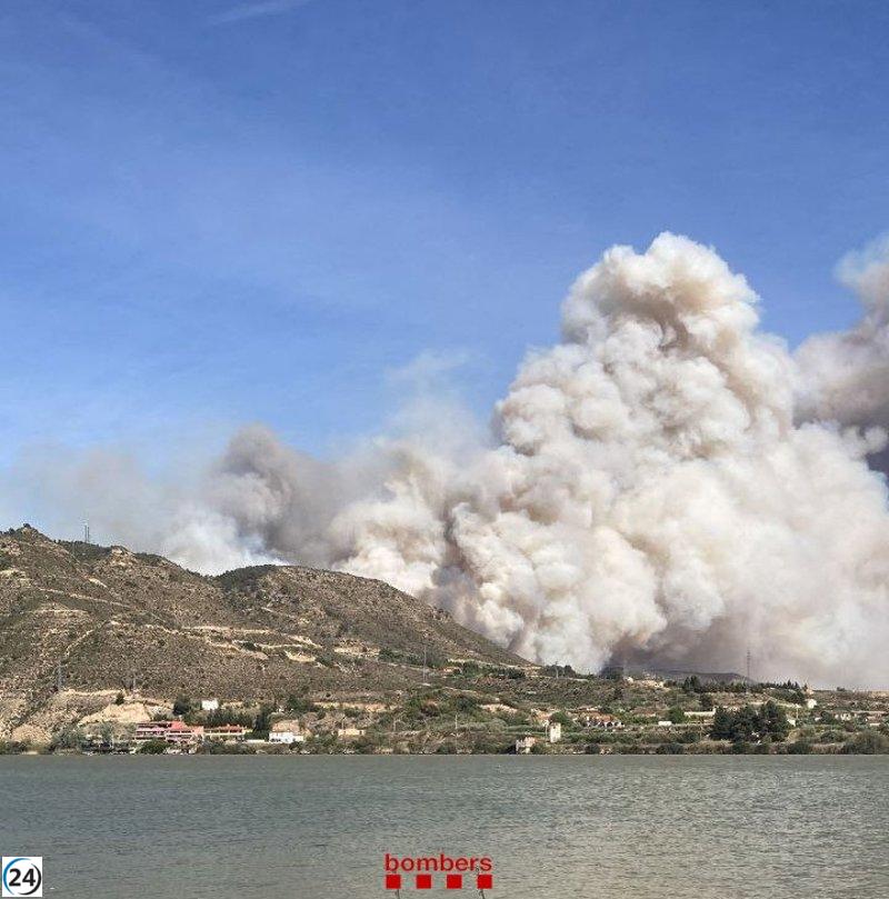 Incendio forestal entre La Granja d'Escarp (Lleida) y Mequinenza (Zaragoza) bajo control.