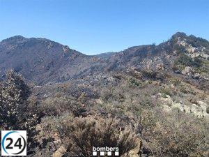 Bomberos inspeccionan zona del incendio en Portbou (Girona) con apoyo de varias unidades.