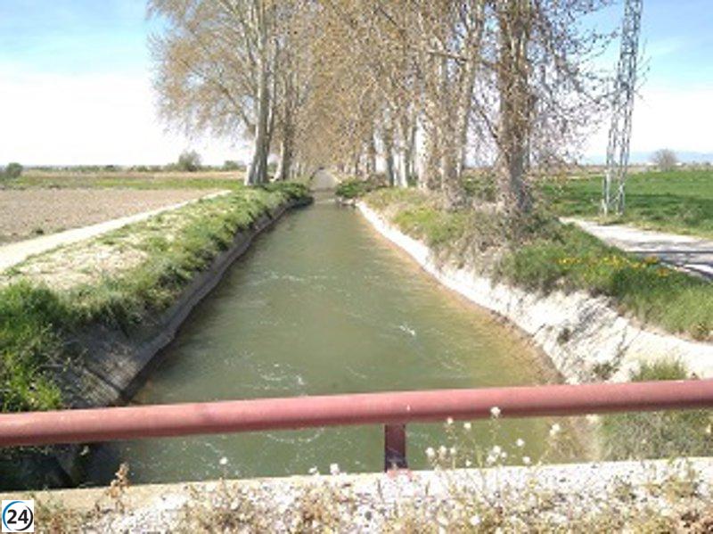 Cierre del riego en 50.000 hectáreas agrícolas de Canals d'Urgell el martes.