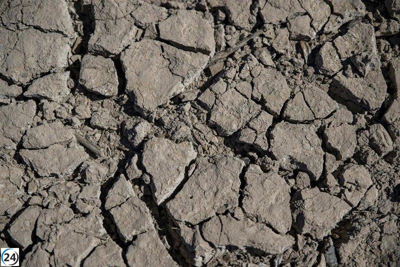 Comunidades de regantes alertan sobre sequía en Cataluña y su impacto en la producción de alimentos.