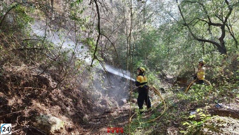 Bomberos mojan fuego en Collbató y El Perelló (Barcelona y Tarragona)