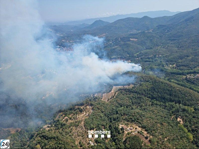 Incendio de Arbúcies (Girona) extinguido tras arrasar 4,3 hectáreas