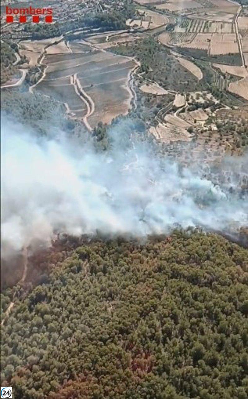 Los Bombers aseguran haber controlado el incendio en Vespella de Gaià, Tarragona.