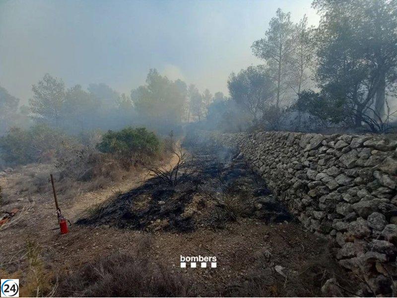 Exitosa extinción del incendio forestal de Vespella de Gaià (Tarragona)