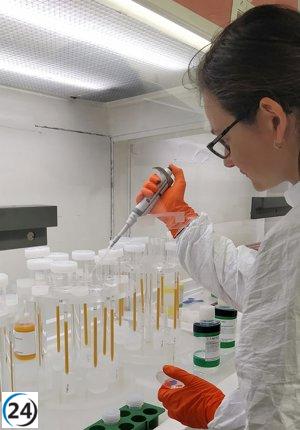 Descubrimiento en Catalunya: Estudio revela rastros de la transhumancia ancestral hace 2.500 años