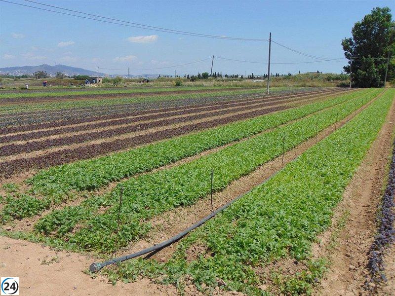 Unión de Agricultores se opone a la expansión del Aeropuerto de Barcelona debido a la disminución de tierras de cultivo.