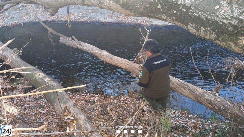 El vertido de gasoil contamina el agua del río Anoia en cuatro municipios catalanes sin afectar al consumo.