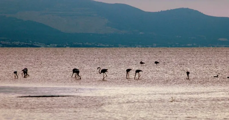 Disfruta de la naturaleza en el Delta del Ebro